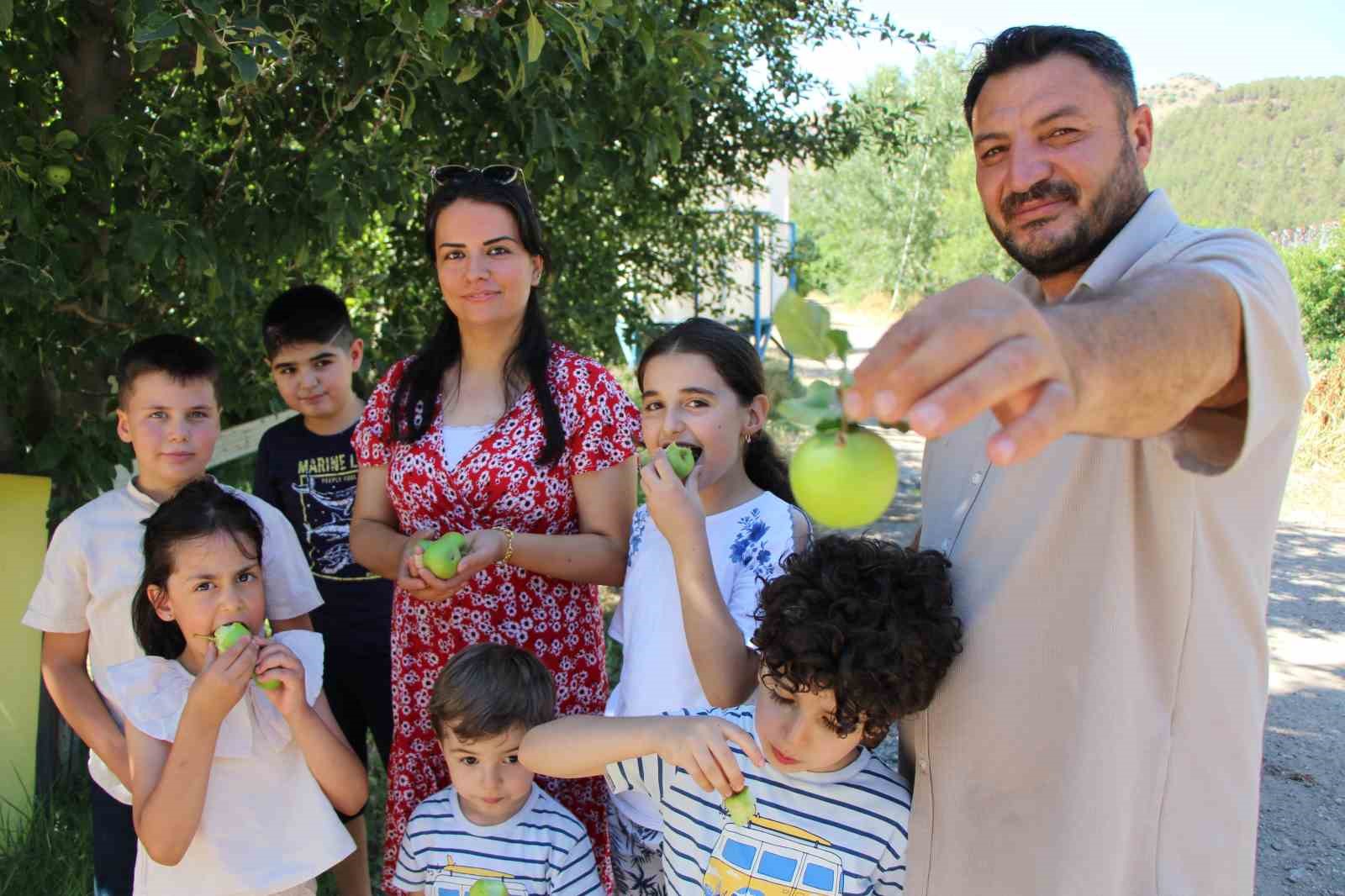 don felaketinden korunan elmalari satmayip bahcesine gelenlere ikram ediyor