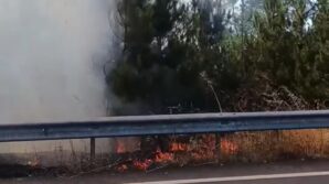 dugun konvoyundaki mesale camlik alani yakti djP1qVyV