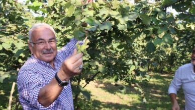 ferreroya yasak geldi cRDHfrfm