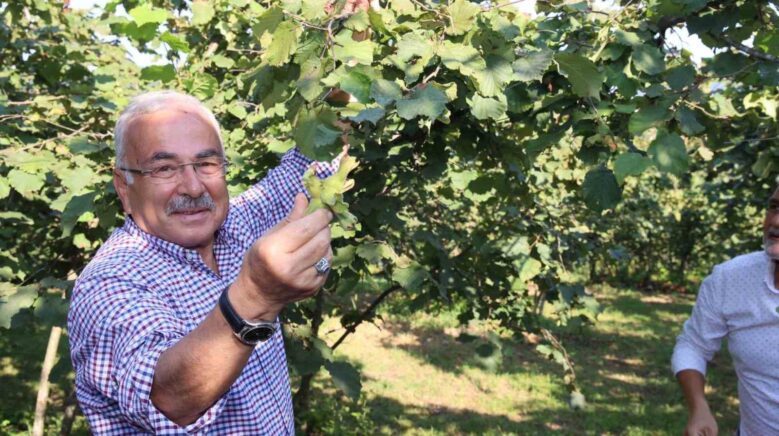 ferreroya yasak geldi cRDHfrfm