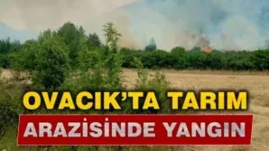 ffffffffffff 779x436 1