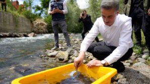 gumushanede 10 bin kirmizi benekli alabalik dogaya salindi bV8WHev8