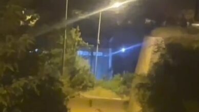 gumushanede ayi sehir merkezinde goruntulendi ShyulFA2