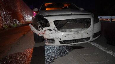 gumushanede otomobilin carptigi ayi telef oldu 3YIjJpfB