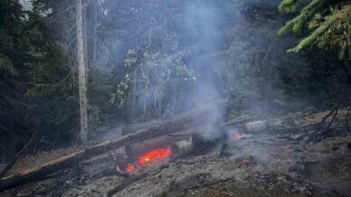 gumushanedeki orman yangini sonduruldu XAIVtHuH