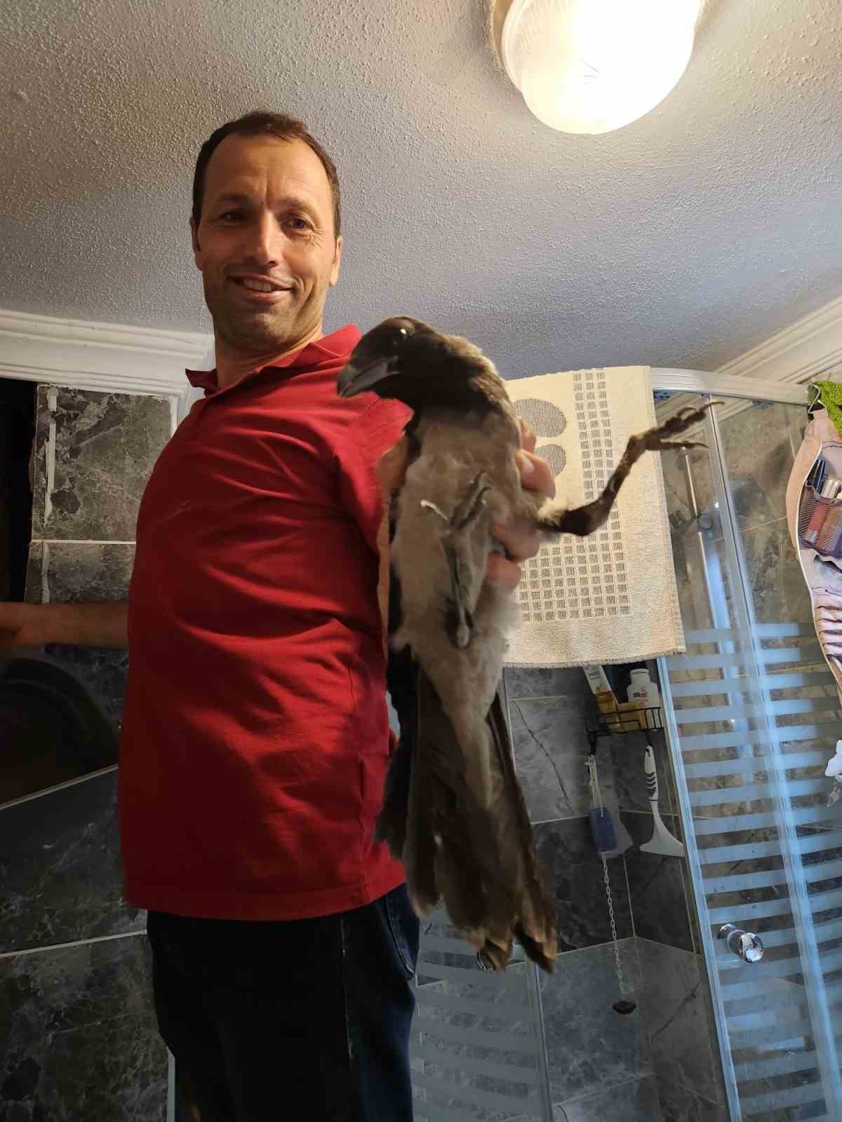 havalandirma bosluguna dusen kargayi vatandas kurtardi ljFGblT5