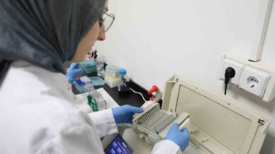 kanseri onlemede yeni umut kereviz tohumu QeOacptt