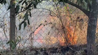 karabukte cikan aniz yangininda 25 donum alan zarar gordu USJwm1VB