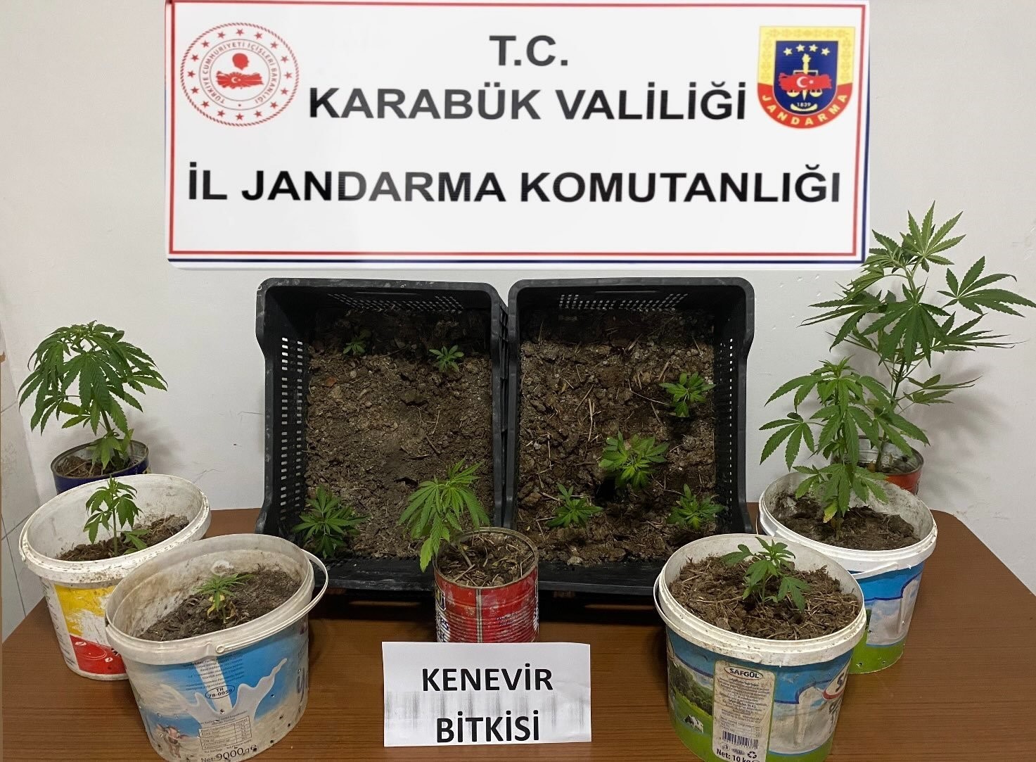 karabukte iki evde 14 kok kenevir ele gecirildi lQY6CVte