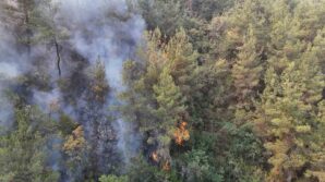 karabukte orman yangini 69 saattir suruyor DZ8QIex5