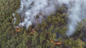 karabukte orman yanginina mudahale 6 saattir araliksiz suruyor Q8QCW8Yq