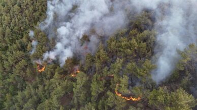 karabukte orman yanginina mudahale 6 saattir araliksiz suruyor Q8QCW8Yq