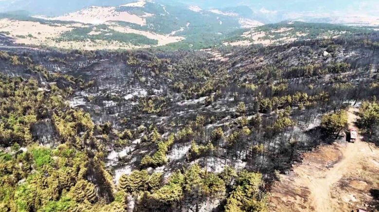 karabukte orman yangininin ardindan yurek burkan manzara 7CnJF1fS