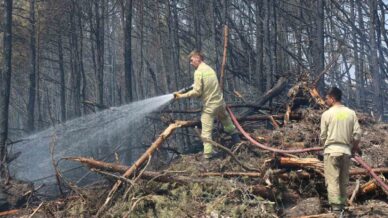 karabukteki orman yangininda 120 saate giriliyor vGkzWSl1