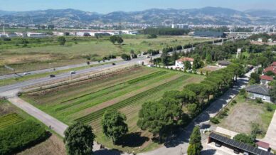 karadenizin en buyuk fidanligi yangin bolgelerine on binlerce fidan gondermeye hazir 8xbm9Y5T