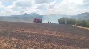 kartalin elektrik tellerine carpmasiyla baslayan yangin buyumeden sonduruldu BsH9NW9W