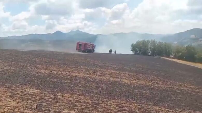 kartalin elektrik tellerine carpmasiyla baslayan yangin buyumeden sonduruldu BsH9NW9W