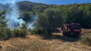 kastamonuda ormanlik alanda cikan yangin buyumeden sonduruldu ymUesiWw