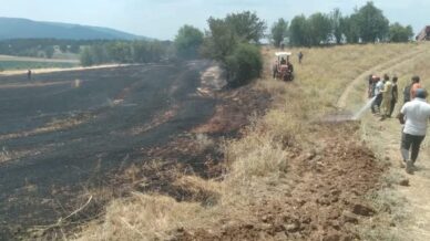 kastamonuda tarlalda cikan ortu yangini sonduruldu 1ctr853F