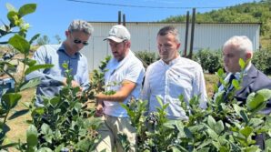 kaymakam kayadan yaban mersini uretim tesisine ziyaret O1Odiz1c