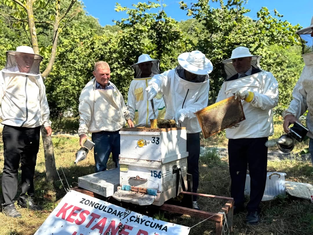 kestane bali hasadi caycumada gerceklestirildi 8sqcv9Qd