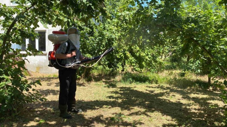 kokarca ile mucadele suruyor uretici kukurt ve samuray arisina guveniyor y3HpeLeS