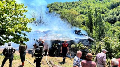 komurlukte cikan yangin panige neden oldu ThWNJS14