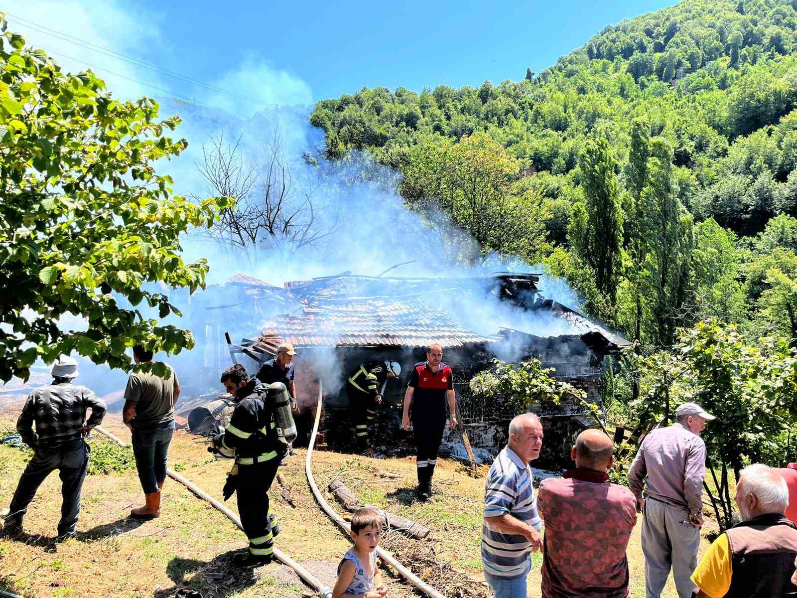 komurlukte cikan yangin panige neden oldu ThWNJS14