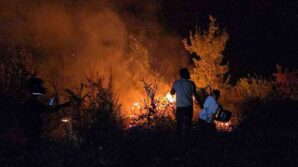 orman yanginina genclerden kahramanca mudahale Y9lFD8UO