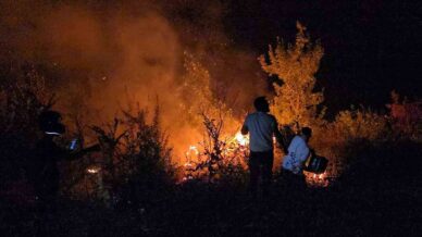 orman yanginina genclerden kahramanca mudahale Y9lFD8UO