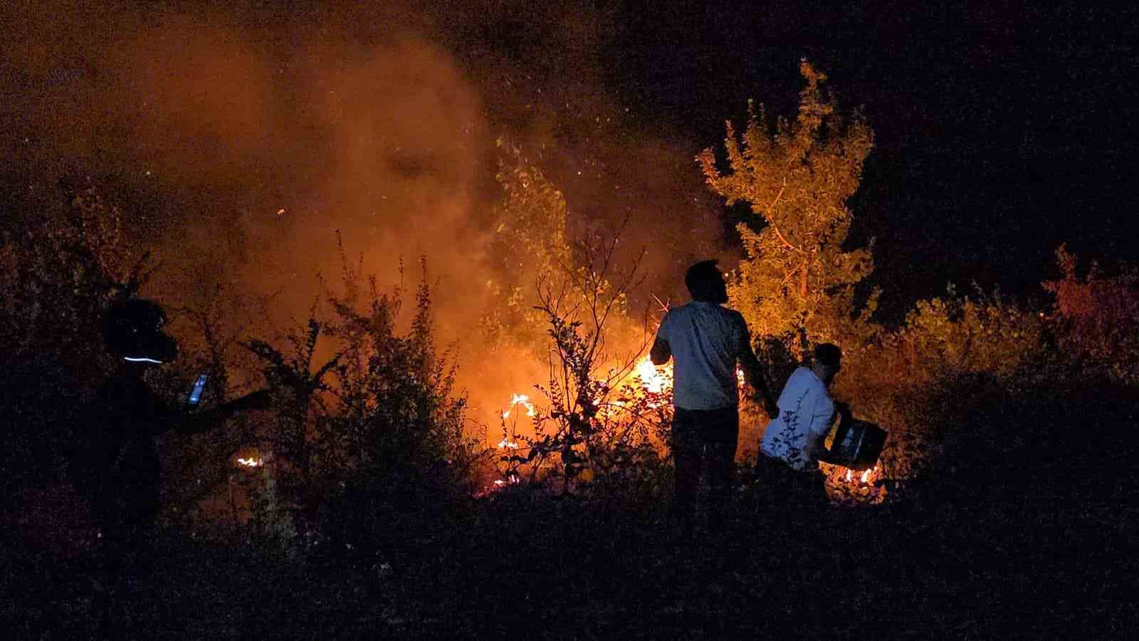 orman yanginina genclerden kahramanca mudahale Y9lFD8UO