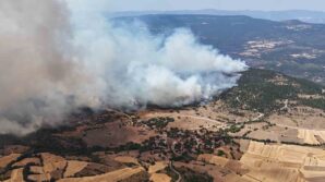 orman yangininda alevler yerlesim yerlerine dogru ilerliyor ppw4v95v