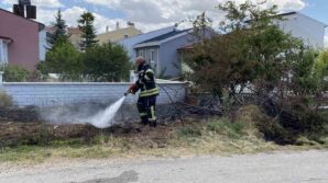 otluk alanda cikan yangin evlere sicramadan kontrol altina alindi qulCsYjz