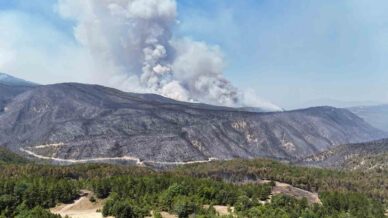 ruzgar karabukteki orman yanginlarini yeniden alevlendirdi Q7V3fxfh