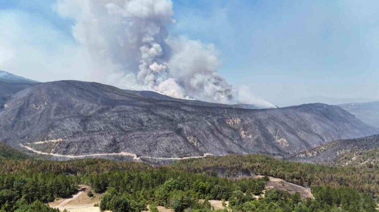 ruzgar karabukteki orman yanginlarini yeniden alevlendirdi Q7V3fxfh
