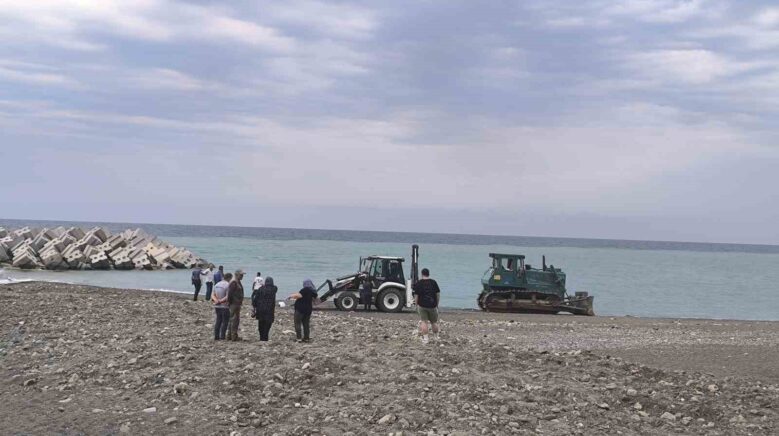 sahilde guneslenen kadini ezerek olumune sebep olan is makinesinin operatoru tutuklandi XFKkpRWB