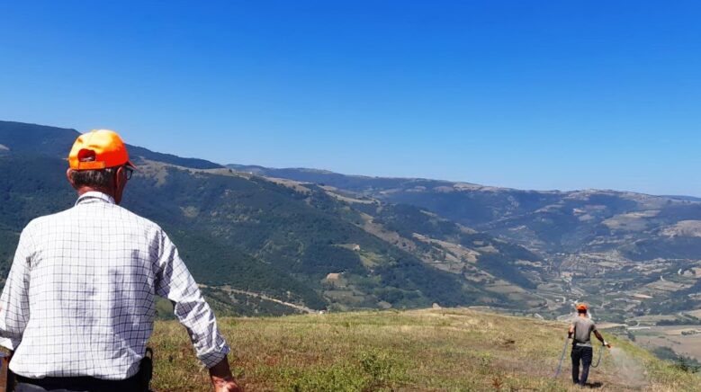 samsun canikte cekirge istilasina karsi devlet destekli ilaclama CTJWeQle