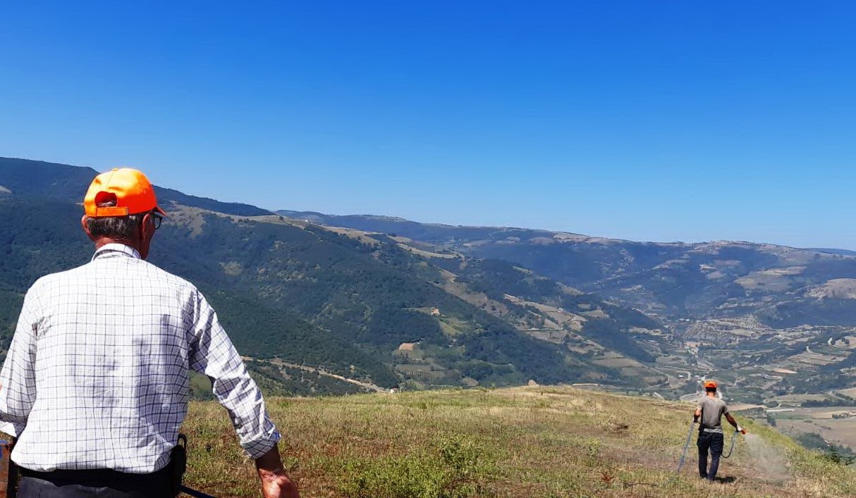 samsun canikte cekirge istilasina karsi devlet destekli ilaclama CTJWeQle