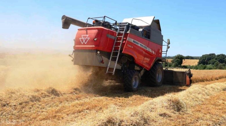 sebzede lider meyvede guclu tarimda marka sehir samsun D9dJPMaK