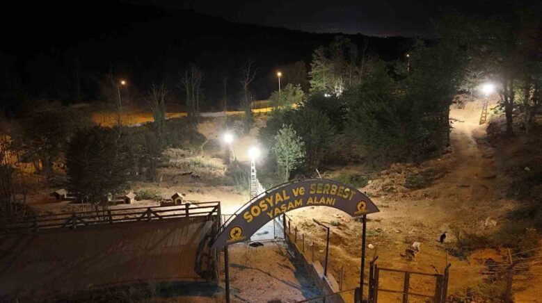 sokak hayvanlari icin 80 bin metrekare rehabilitasyon merkezi bRLLcVyO
