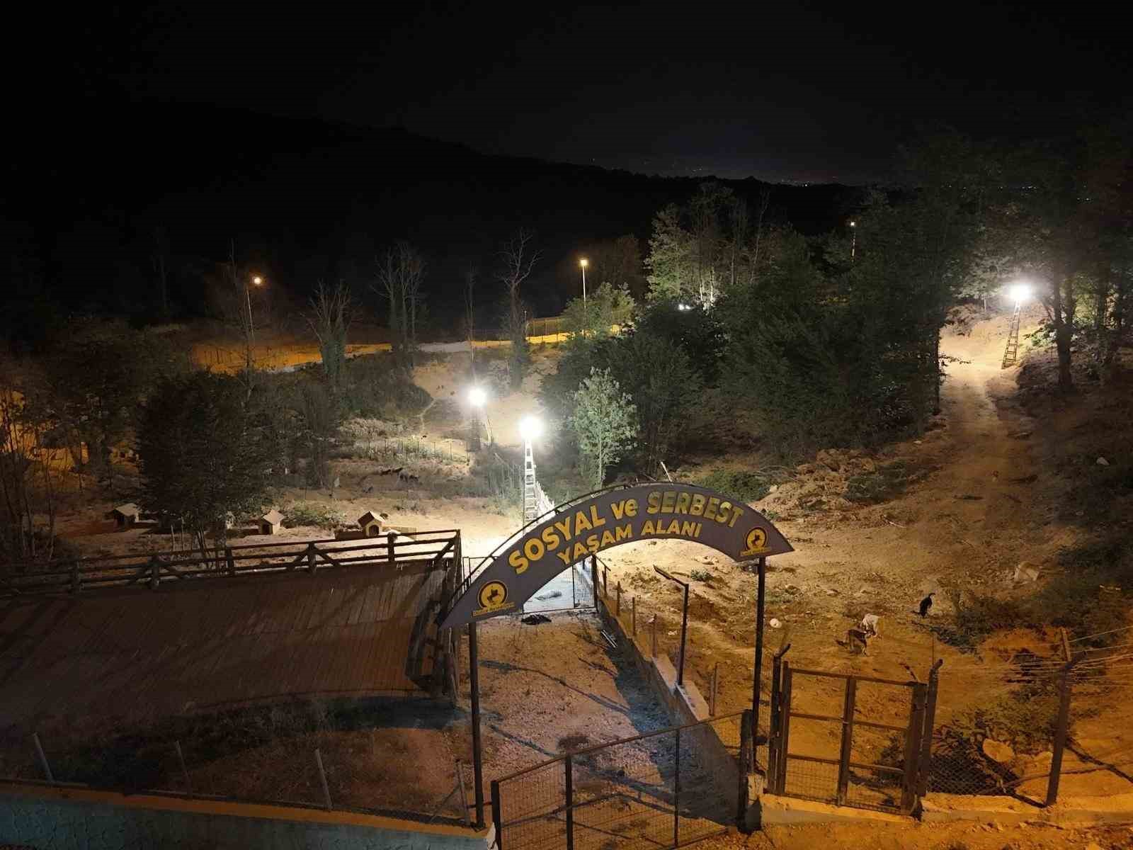 sokak hayvanlari icin 80 bin metrekare rehabilitasyon merkezi bRLLcVyO