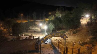 sokak hayvanlari icin 80 bin metrekare rehabilitasyon merkezi swBZQSjT