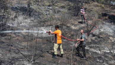 tarlada cikan yangin ormana sicradi 6 dekar alan zarar gordu 2DXX9yka