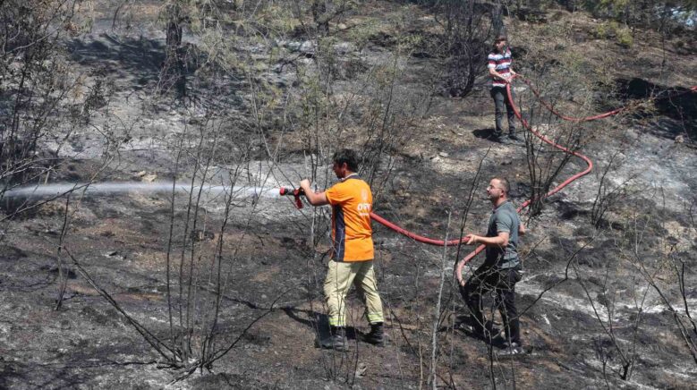 tarlada cikan yangin ormana sicradi 6 dekar alan zarar gordu 2DXX9yka