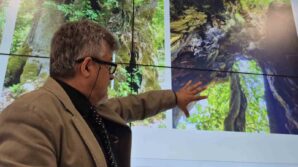 tesadufen bulunan agac 640 yasinda cikti wCmf2ZSl