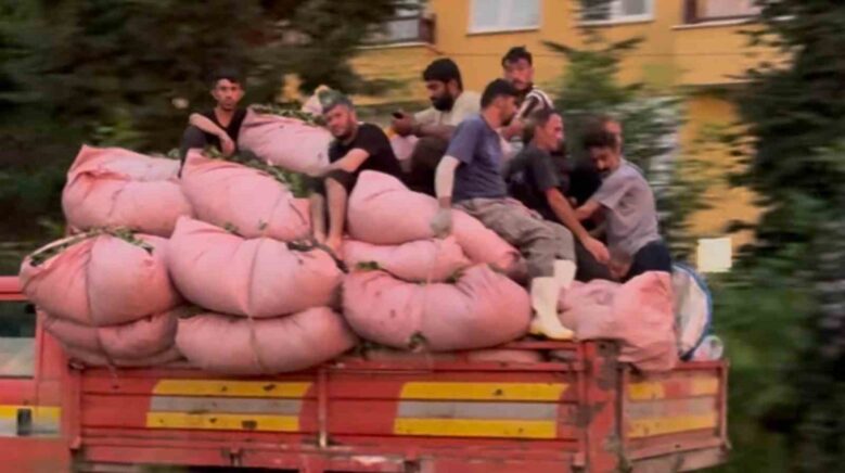 tika basa cay dolu kamyonun kasasinda tehlikeli yolculuk Gptke6XH