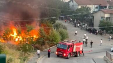 tokatta ari kovanlari kule dondu TMGNKlfv