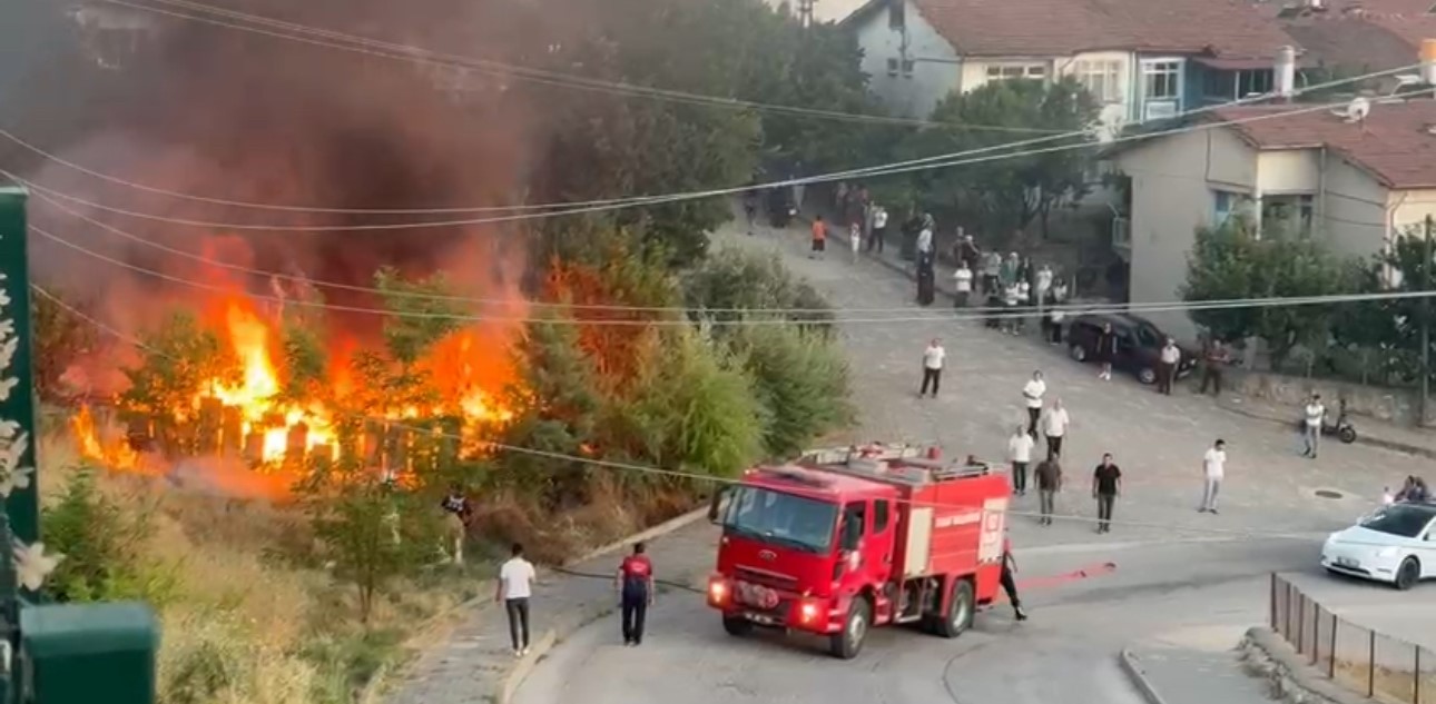 tokatta ari kovanlari kule dondu TMGNKlfv