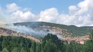 tokattaki yanginda alevler yerlesim alanina ulasmadan sonduruldu y8raZMpn