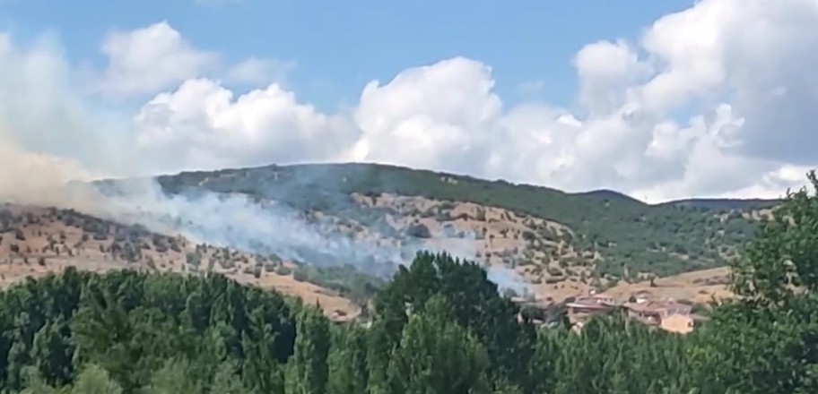 tokattaki yanginda alevler yerlesim alanina ulasmadan sonduruldu y8raZMpn